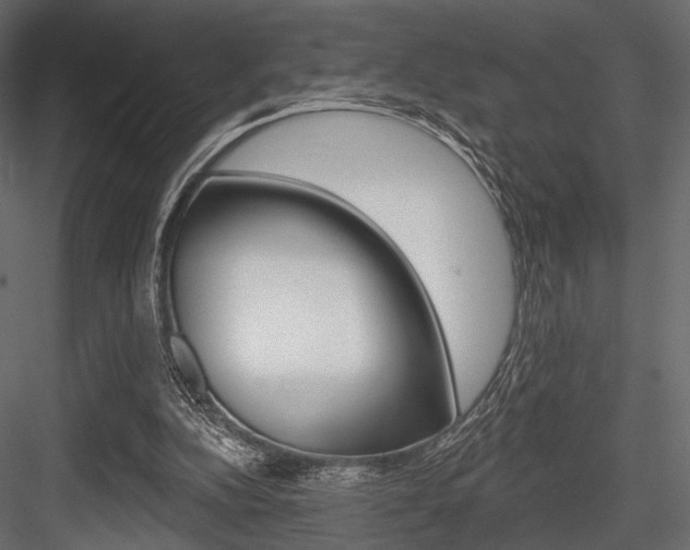 X0000084600152200702231045