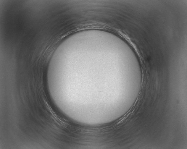 X0000084600154200702231045
