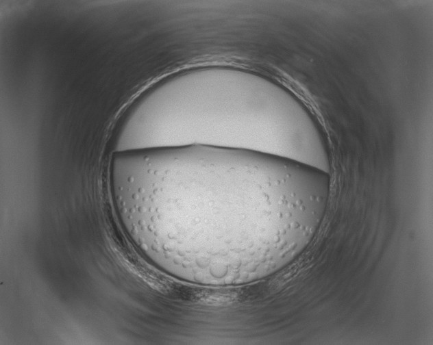X0000084600155200702231045