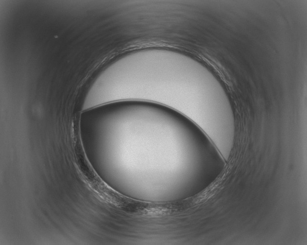 X0000084600158200702231045