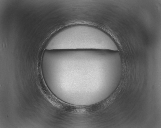 X0000084600159200702231045