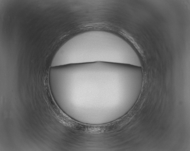 X0000084600161200702231045