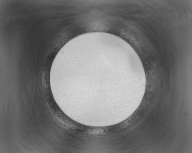 X0000084600162200702231045