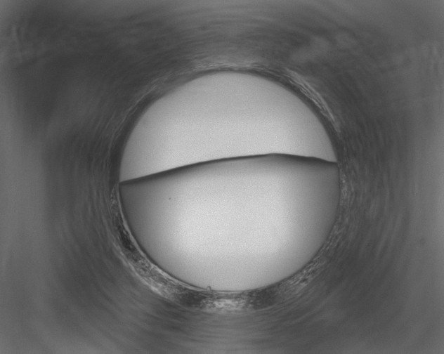 X0000084600163200702231045