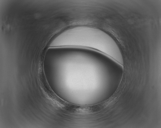 X0000084600164200702231045