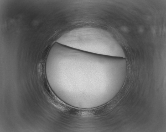 X0000084600165200702231046