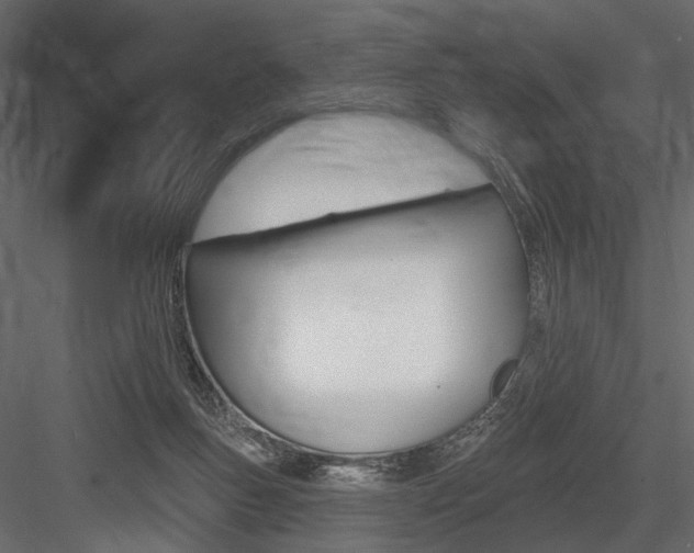 X0000084600167200702231046