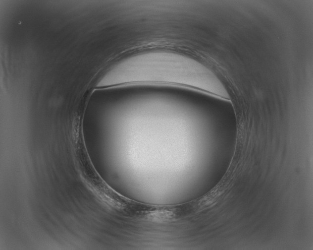 X0000084600168200702231046