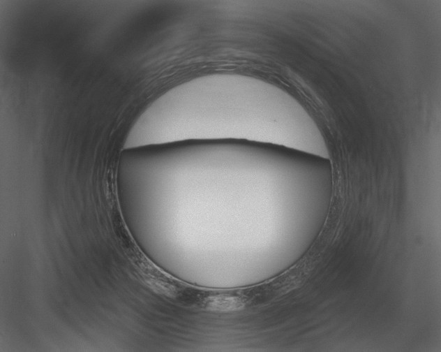 X0000084600169200702231046