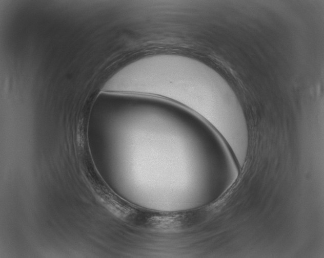 X0000084600170200702231046