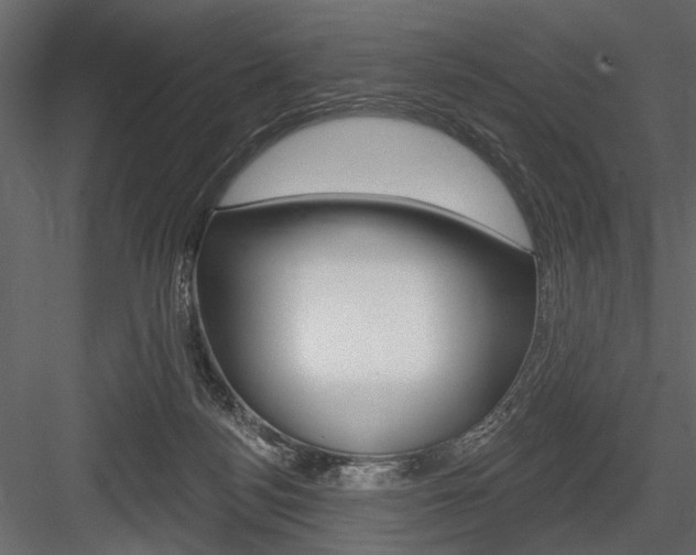 X0000084600172200702231046