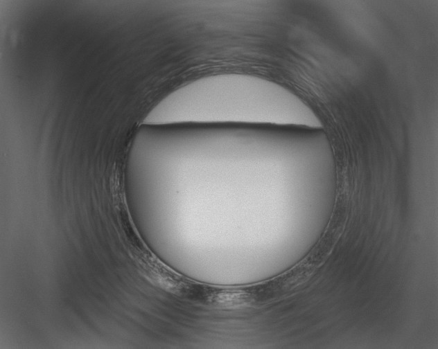X0000084600173200702231046