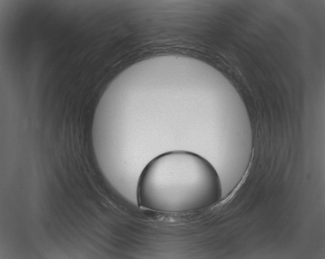 X0000084600174200702231046