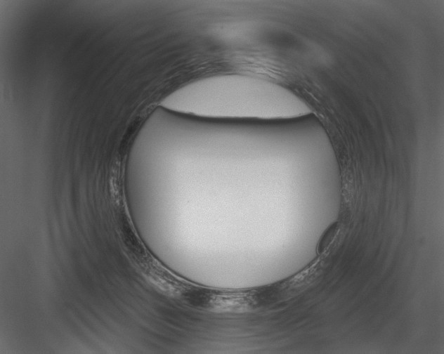 X0000084600175200702231046