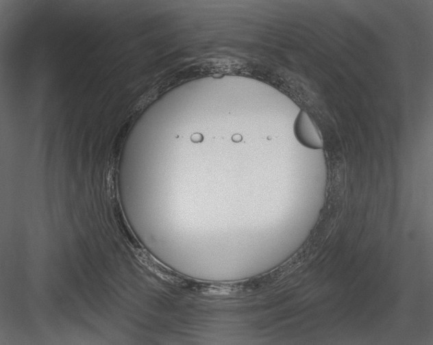 X0000084600177200702231046