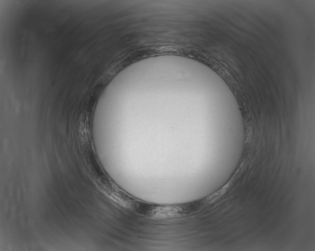 X0000084600179200702231046