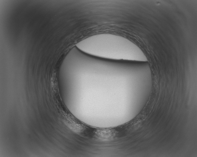X0000084600181200702231046