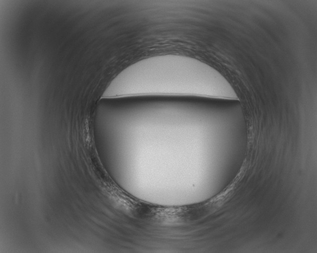 X0000084600182200702231046