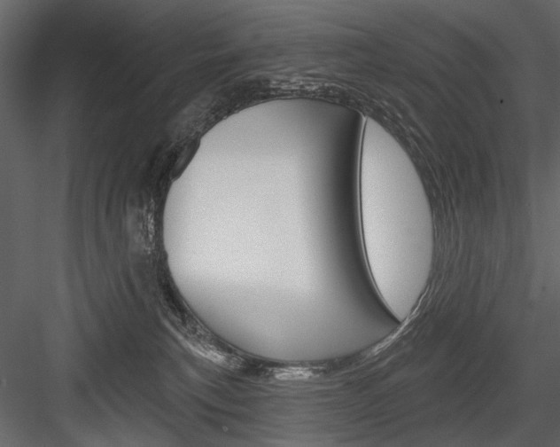 X0000084600183200702231046