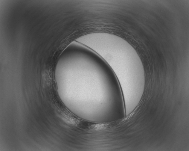 X0000084600184200702231046