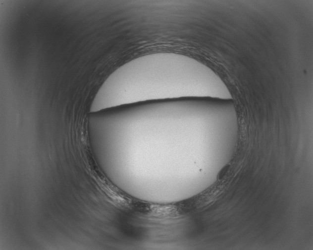 X0000084600185200702231046