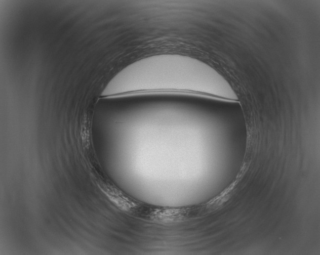 X0000084600186200702231046