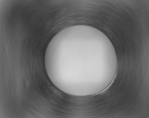 X0000084600190200702231046