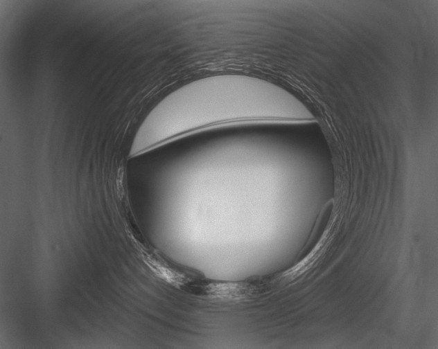 X0000084600192200702231046