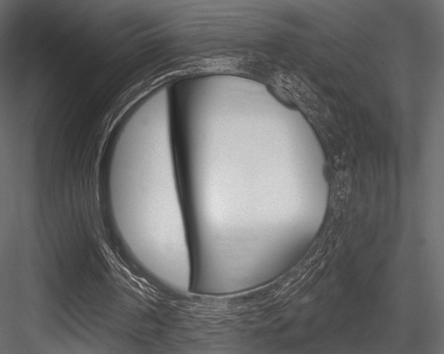 X0000084600194200702231045