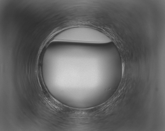 X0000084600195200702231045