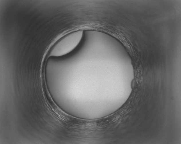 X0000084600196200702231045