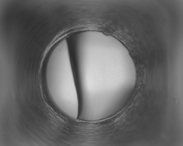 X0000084600198200702231045