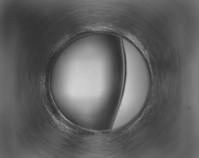 X0000084600201200702231045