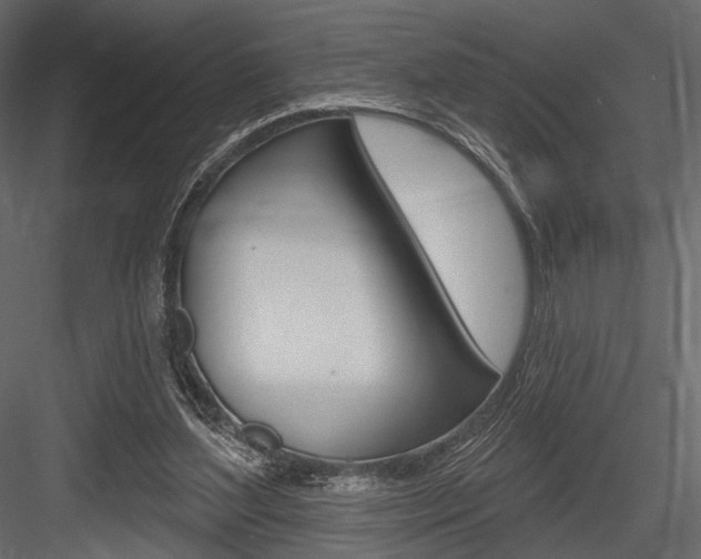 X0000084600204200702231045
