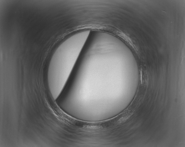 X0000084600205200702231045