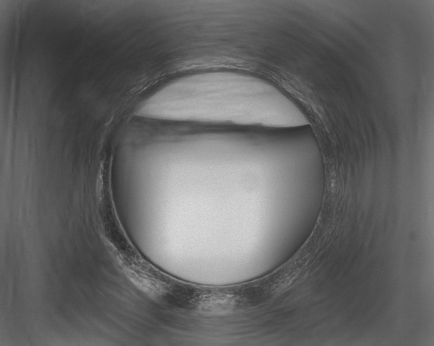 X0000084600206200702231045