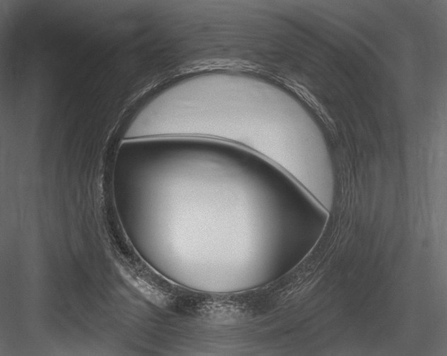 X0000084600207200702231045