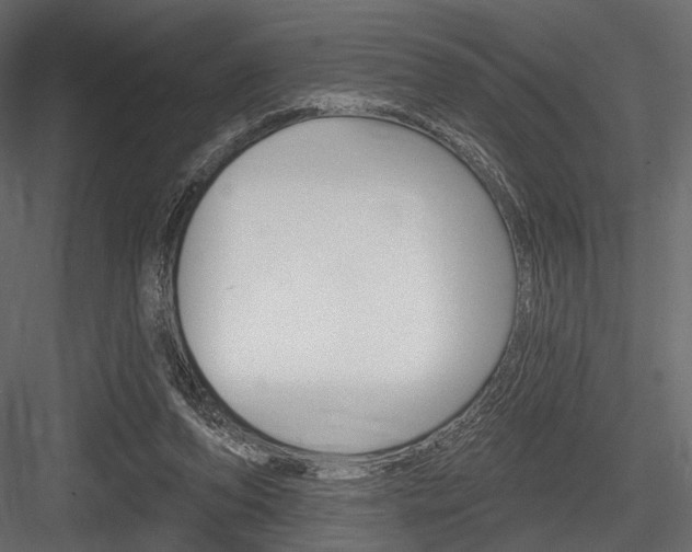 X0000084600208200702231045