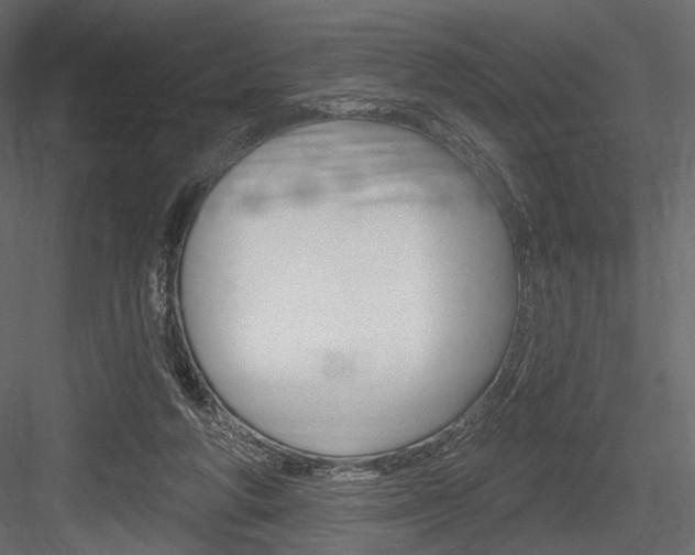 X0000084600210200702231045