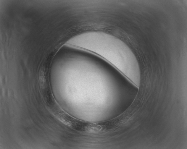 X0000084600215200702231045