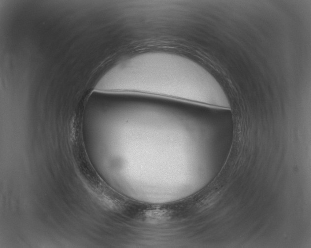 X0000084600216200702231045