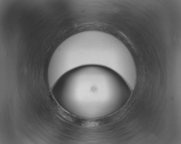 X0000084600217200702231045