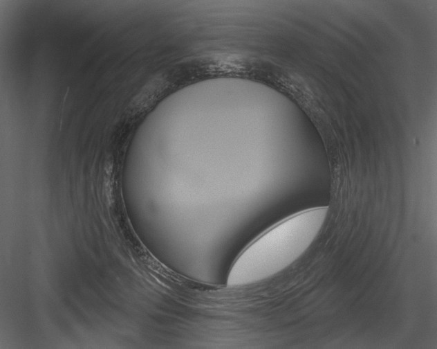 X0000084600223200702231045