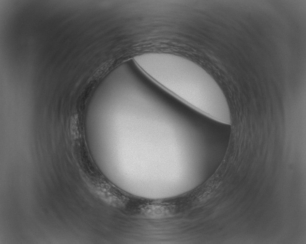 X0000084600224200702231045