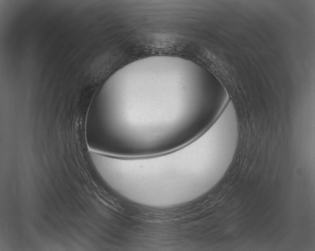 X0000084600225200702231045