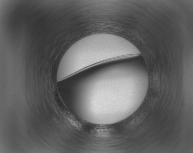 X0000084600228200702231045