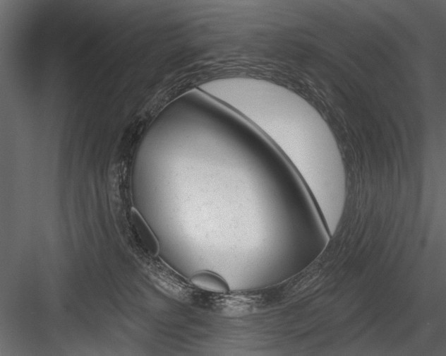 X0000084600229200702231045