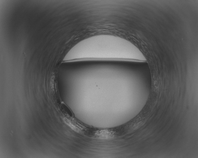 X0000084600231200702231044