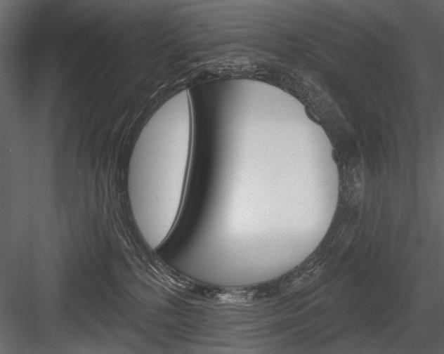 X0000084600232200702231044