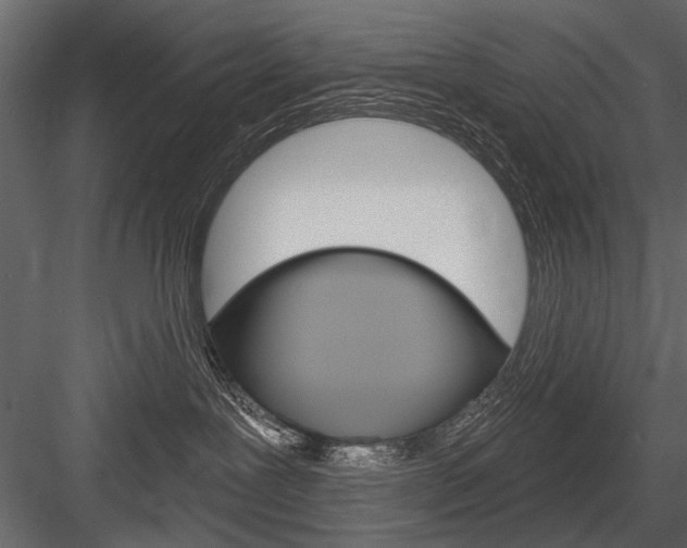 X0000084600239200702231044
